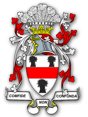 THE TYNDALE FAMILY CREST